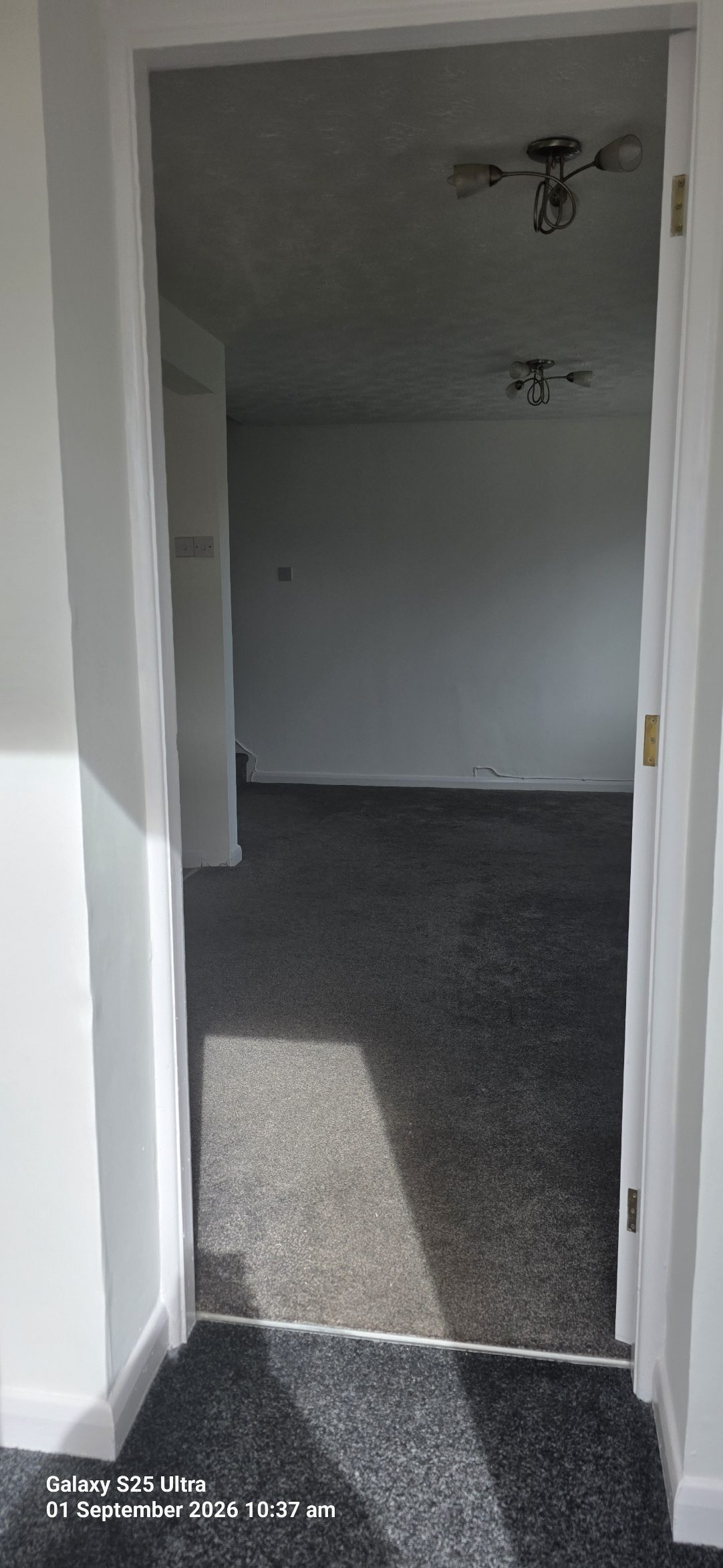 pic1